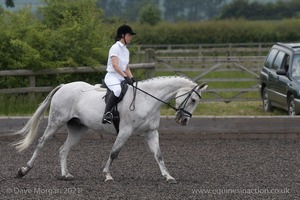 ISIS Dressage Challenge 2008